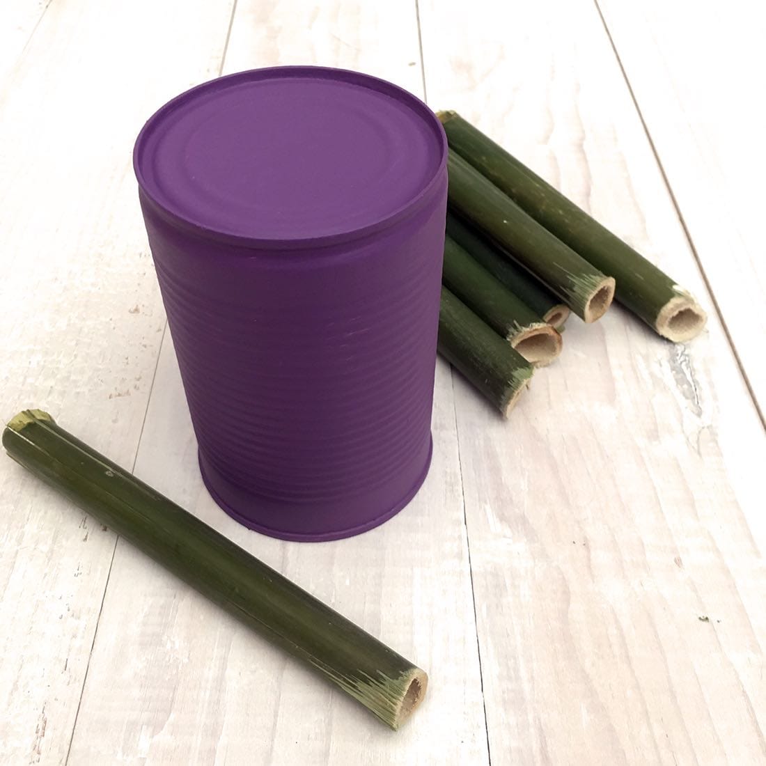 Paint the can - Make a Quick Bug Hotel in 3 Easy Steps